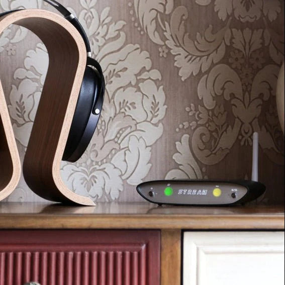 iFi Zen Stream Ağ Üzerinden Müzik Oynatıcı -