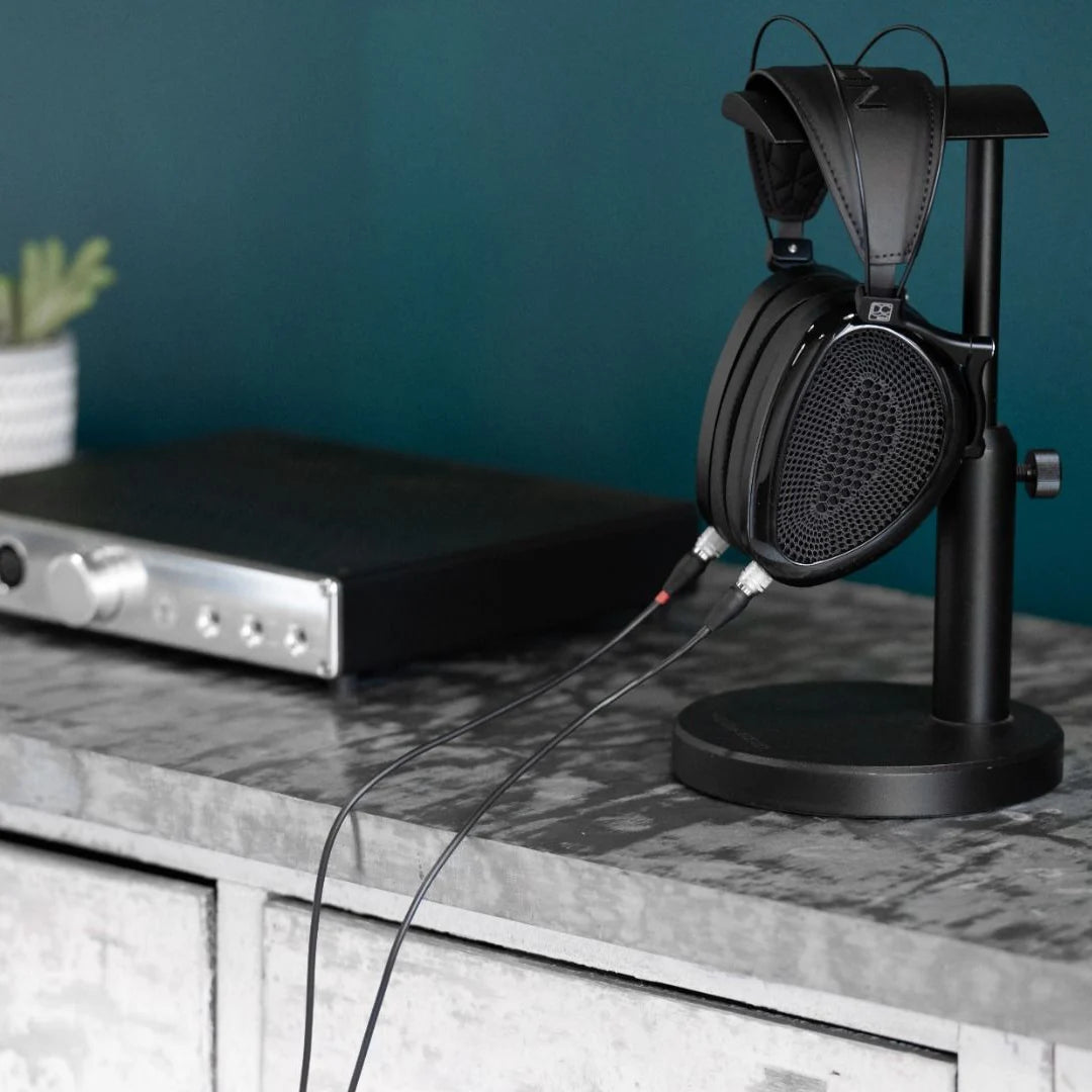 NOIRE XO | 2mt XLR