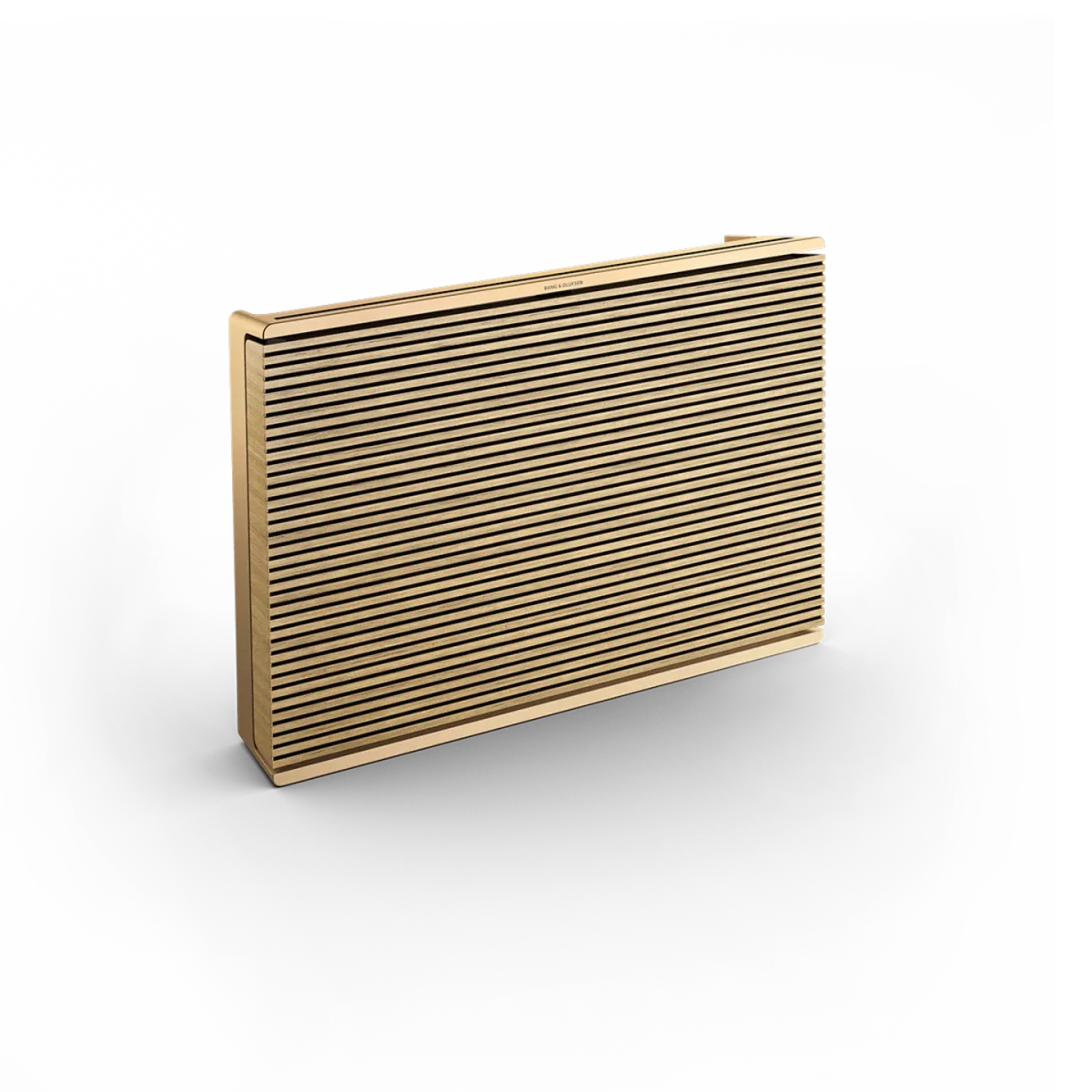 Bang & Olufsen Beosound Level Taşınabilir Multiroom Kablosuz Hoparlör - Aktif Hoparlör
