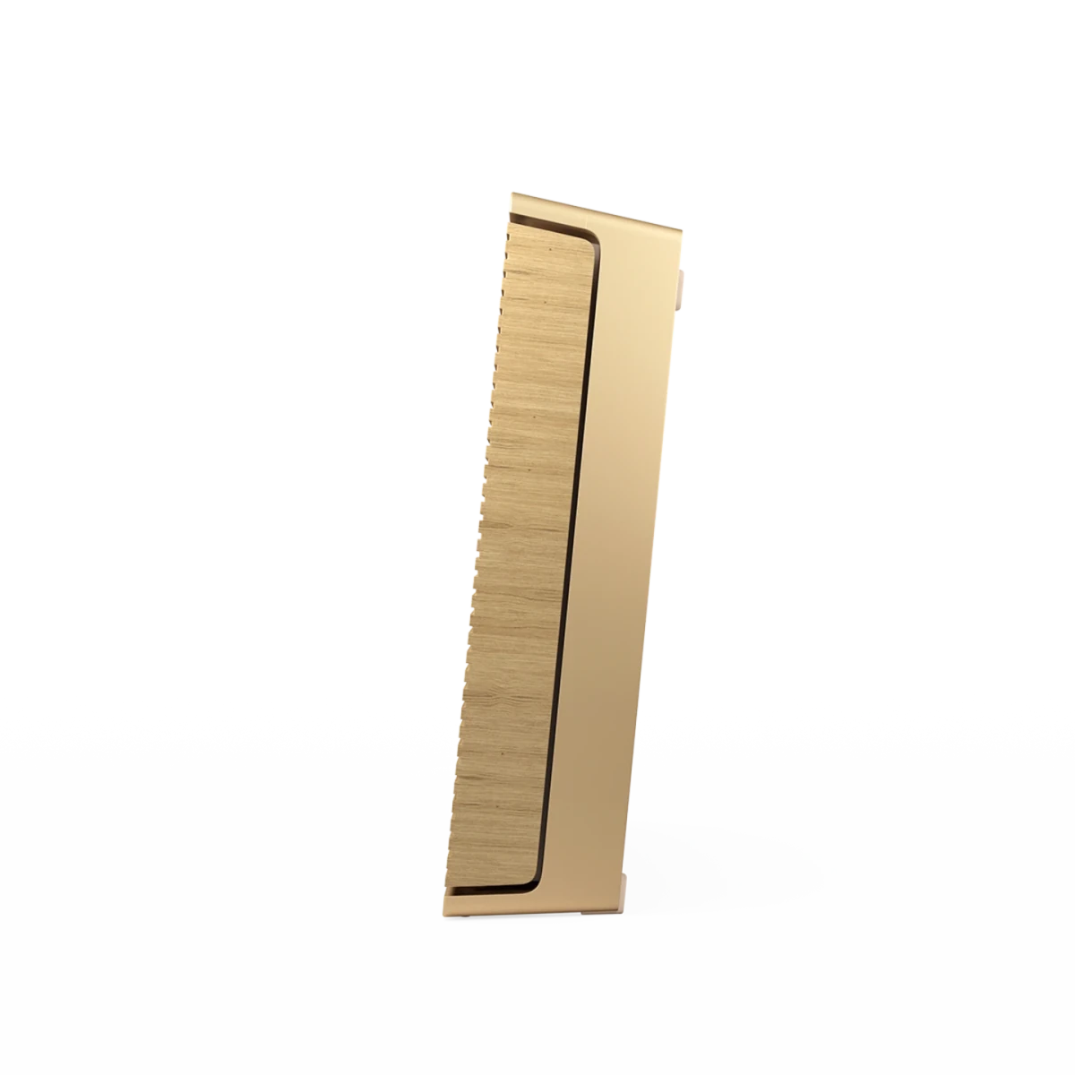 Bang & Olufsen Beosound Level Taşınabilir Multiroom Kablosuz Hoparlör - Aktif Hoparlör