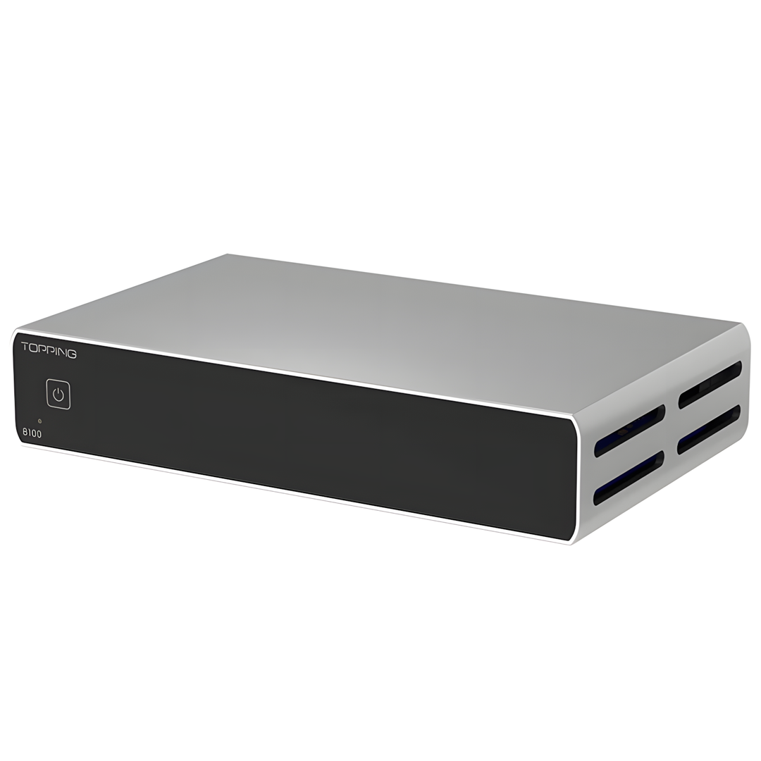 B100 Mono Power Amplifier | Silver